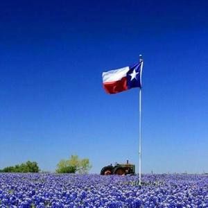 Meet your Posher, Richard